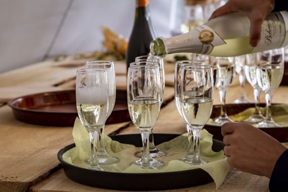 25 let firmy Moser Legno